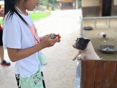 -北戴河集发农业梦想王国
