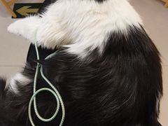 -平行世界·猫咖(首经贸店)