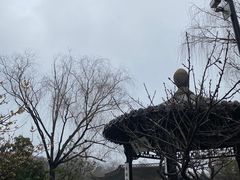 -扬州大运河文化旅游度假区·盆景园