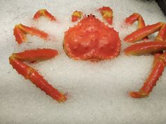 -上清·三文鱼鲜寿司(同德店)