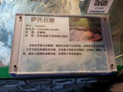 -上海大自然野生昆虫馆(东方明珠·爬宠昆虫探索中心)