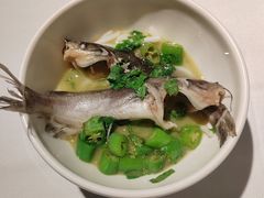 -柴门·头啖汤(天安千树店)