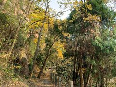 -天台山赤城山景区