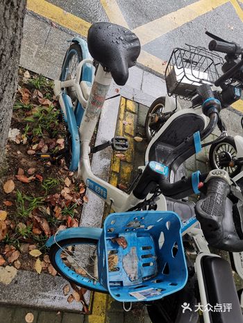 上下班堵车要一小时的路程 哈啰单车20分钟就能搞定