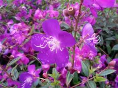 iphone_upload_pic-江滨公园