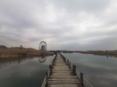 -苏州太湖湖滨国家湿地公园