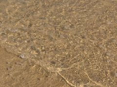 -玫瑰海岸文化旅游度假区