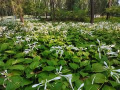 -森林公园(尖草坪区)