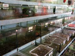 -秋姐美食店(旅游大道店)