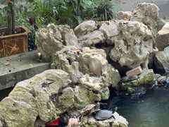 -普陀山风景名胜区-法雨禅寺