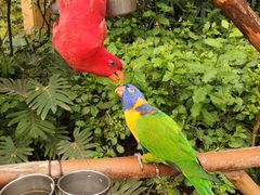 -南宫五洲植物乐园