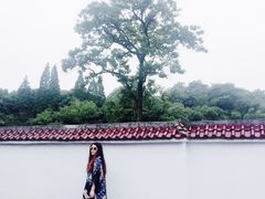 -杭州半山国家森林公园