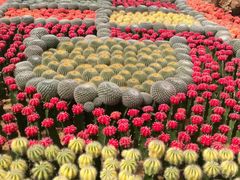 -南通洲际绿博园