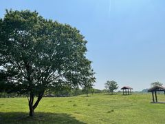 -良渚古城遗址公园