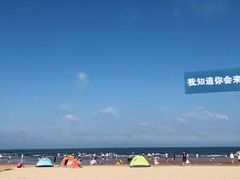 -日照海滨国家森林公园