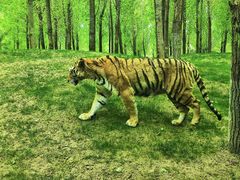 -北京野生动物园