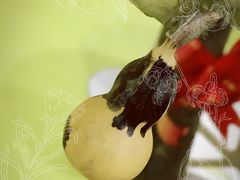 -RoMan罗马健身工作室(莘庄店)