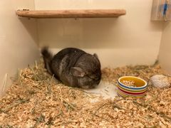 -龙猫仔乐园(惠福东路店)