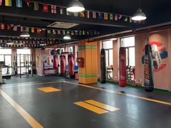 -臻元搏击格斗泰拳拳馆(港隆店)