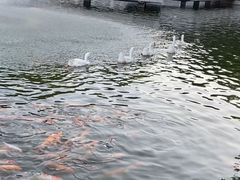 -广东圆玄道观