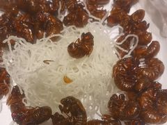 -丽景华侨酒店-渔味小厨