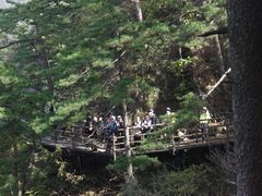 -罗田天堂寨风景区