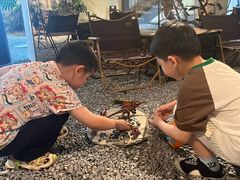 -J Create城市露营咖啡·简餐·宠物(上海动物园店)