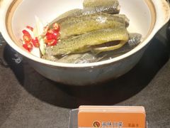 泥鳅炖豆腐-常和州·夜宵大排档(常州单店)