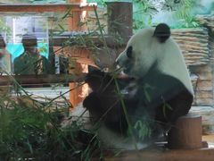 -西霞口神雕山野生动物世界