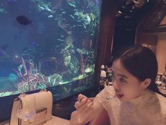 -迪拜帆船酒店海底餐厅