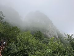 -秦岭天竺山生态文化旅游景区