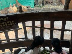 -长鹿旅游休博园