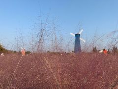 -鹅湖玫瑰文化园