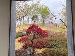 -雅达·阳羡溪山小镇中心