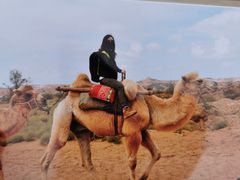 -水洞沟旅游区