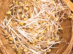 -重庆叉叉裤老火锅(云岭东路店)