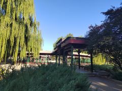 -北京动物园-畅观楼