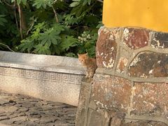 -狼山风景名胜区