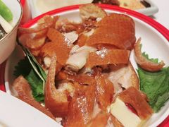 -阿五黄河大鲤鱼(海尚店)