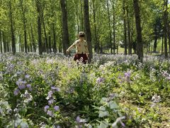 -长白岛森林公园