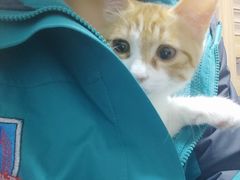 -北京观赏动物医院·24小时大型综合·猫专科·异宠专科