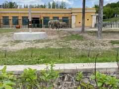 -哈尔滨北方森林动物园