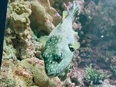 -海合安青岛极地海洋公园