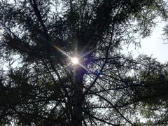 -洛阳白云山景区