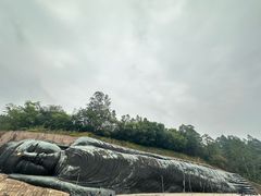 -三水森林公园