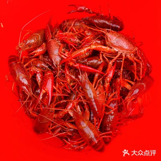 虾钓烧烤营