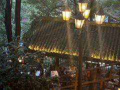 -巴倒烫陆派火锅山庄(南山总店)