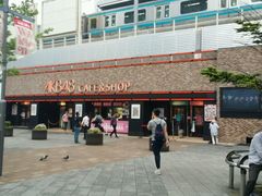 -秋叶原电器街