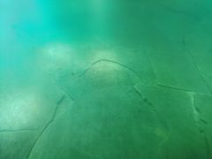 -白鹤梁水下博物馆