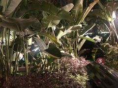 -美林湖温泉别墅度假村